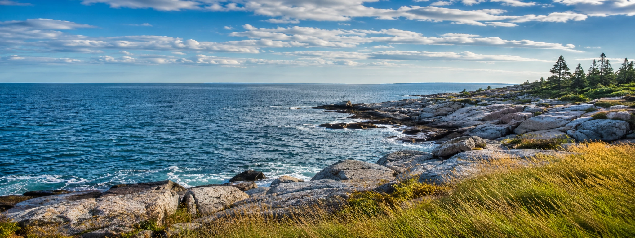 South Shore rocky Atlantic coastline with blue water, coastal grass and bright sky.